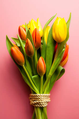 Bouquet of colorful tulips on a pink backgroundの写真素材