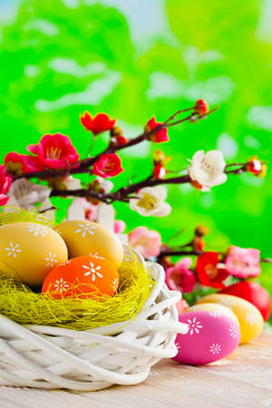 Easter eggs in the nest on wooden table and flowers on green backgroundの写真素材
