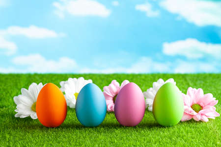 Easter eggs and flowers on the grass and blue sky backgroundの写真素材