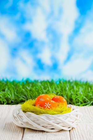 Easter eggs in the nest and wooden table on nature backgroundの写真素材