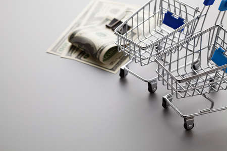 Shopping carts and dollar bills on a gray tableの写真素材