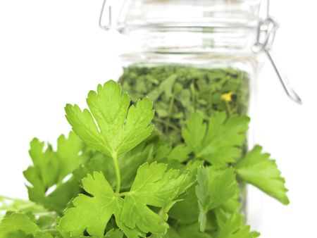 Fresh and Dried Cilantro (Coriander)の写真素材