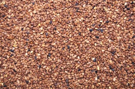 Tan Sesame Seedsの写真素材