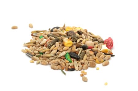 Hamster Food Mixの写真素材