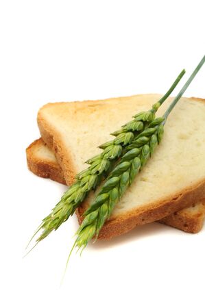 Wheat Toasts with Earsの写真素材