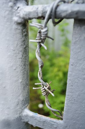 Barbed Wireの写真素材