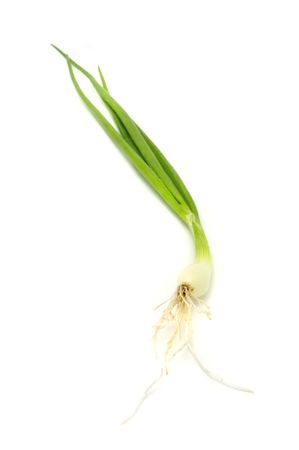 Spring Onion の写真素材
