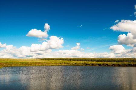 Beautiful Lake And Corn Fieldの写真素材