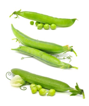 Set of Green Peasの写真素材