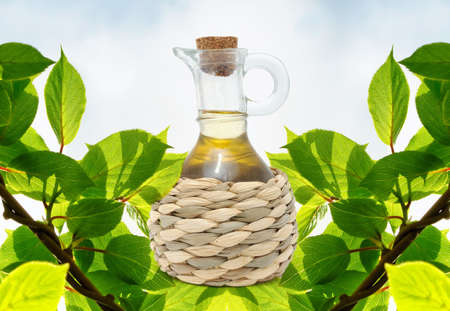 Bottle of Olive Oil on Green Twigs Background