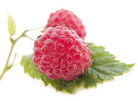 Juicy Raspberries with Green Leaf on White Background