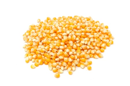 Pile of Corn Kernels Isolated on White Backgroundの写真素材