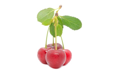 Cherries with Green Leaf Isolated on White Background