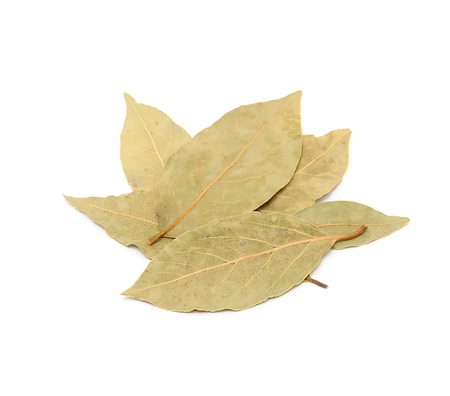 Dried Bay Leaves Isolated on White Backgroundの写真素材