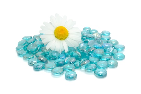 Daisy Flower on Blue Glass Stones Isolated on White Backgroundの写真素材