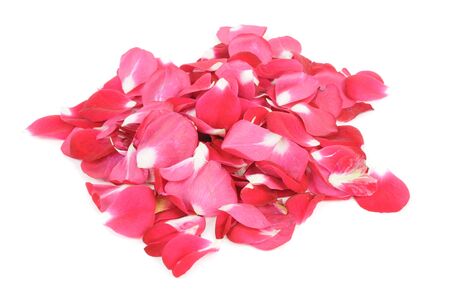 Pile of Red Rose Petals Isolated on White Backgroundの写真素材