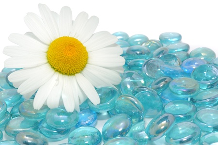 Beautiful Daisy Flower on Blue Glass Stones with Copy Spaceの写真素材