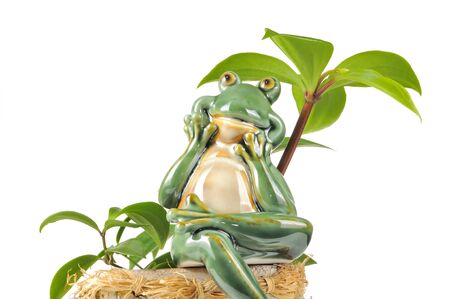 Smiling Green Frog Figurine Sitting on Flower Pot on White Backgroundの写真素材
