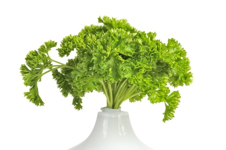 Curly Parsley in Vase on White Backgroundの写真素材