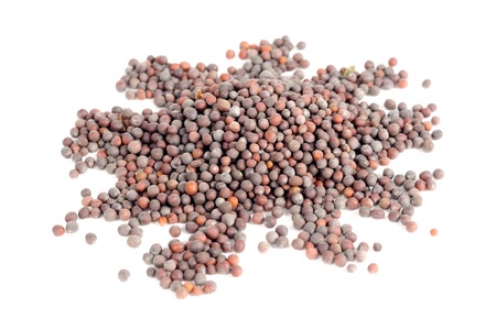 Black Mustard Seeds Isolated on White Backgroundの写真素材