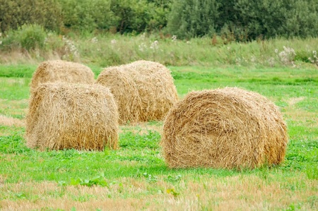 Hay Bales in the Fieldの写真素材