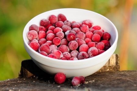 Frozen Cranberries in Bowl on Tree Stumpの写真素材