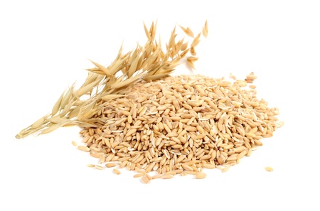 Whole Oats with Ears Isolated on White Backgroundの写真素材