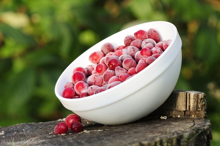 A bowl of large frozen cranberries on a tree stump
