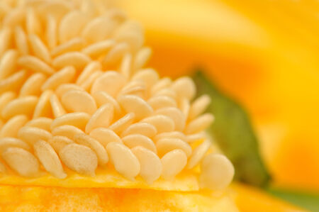 A close-up of bell pepper seeds with a yellow bell pepperの写真素材