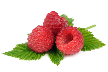 Red Raspberries with Green Leaf Isolated on White Background