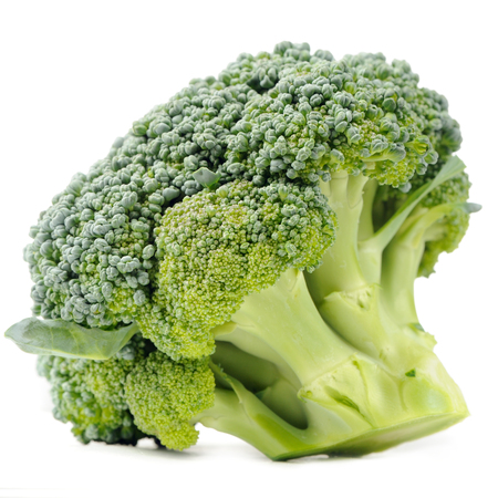 Green Broccoli Isolated on White Backgroundの写真素材