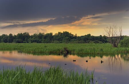Beautiful Summer Morning on the River