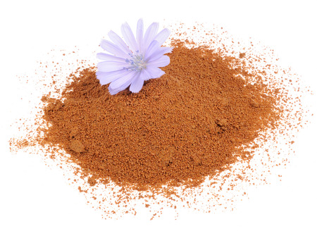Instant Chicory and Chicory Flower Isolated on White Backgroundの写真素材