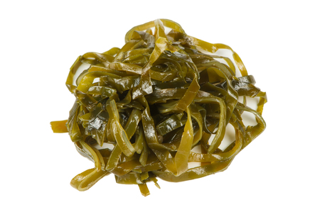 Laminaria Kelp Seaweed Isolated on White Backgroundの写真素材
