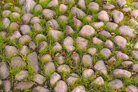 An old paved path with grass growing between stonesの写真素材