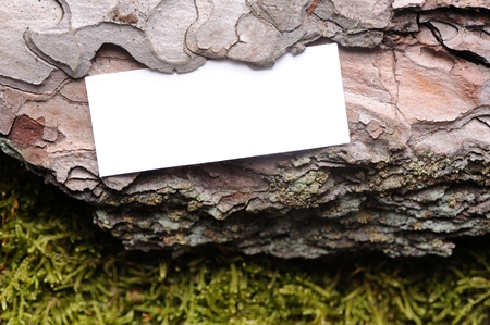 White Paper (Copy Space) on Bark Backgroundの写真素材