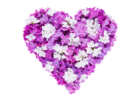 Heart symbol made of fresh violet Lilac flowers isolated on white background. Love concept for Valentine's and Mother's Day.の写真素材
