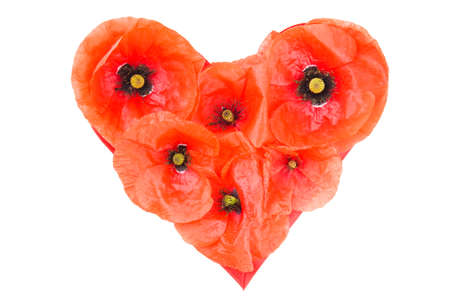 Heart symbol made of fresh red Wild Poppy flowers isolated on white background. Love concept for Valentine's and Mother's Day.の写真素材