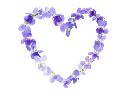 Heart symbol made of fresh purple Violet flowers isolated on white background. Love concept for...
