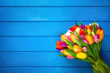 Colorful bouquet of tulips on blue wooden background. Spring flowers. Greeting card with copy space for Valentine's Day, Woman's Day and Mother's Day. Top view.の写真素材