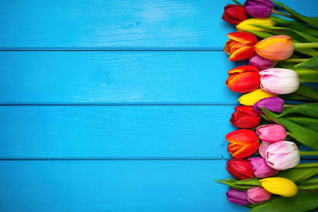Colorful bouquet of tulips on blue wooden background. Spring flowers. Greeting card with copy space for Valentine's Day, Woman's Day and Mother's Day. Top view.の写真素材