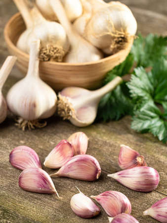 Fresh ripe garlic cloves and bulbs and celery leaves in bowl and vintage old wooden table. Healthy...