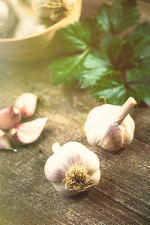 Fresh ripe garlic cloves and bulbs and celery leaves in bowl on old wooden table. Healthy organic food, vitamins, BIO viands, natural background. Copy space for your advertising text message.の写真素材