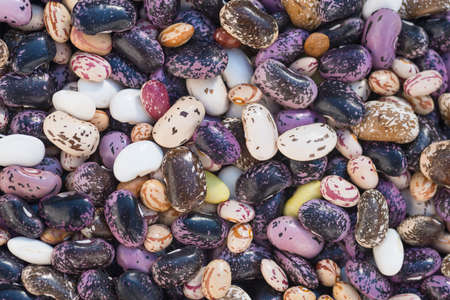 Shelled ripe seeds of kidney bean on heap. Pile of dry raw seeds of haricot (Phaseolus vulgaris) as natural background. Macro close-up. Organic farming, healthy food, BIO viands, back to nature.の写真素材