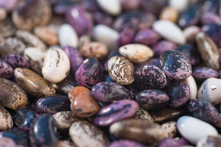 Shelled ripe seeds of kidney bean on heap. Pile of dry raw seeds of haricot (Phaseolus vulgaris) as...