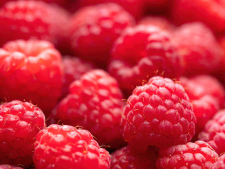Fresh ripe red raspberries background close-up. Healthy organic food, summer vitamins, BIO viands, natural background. Copy space for your advertising text message.の写真素材