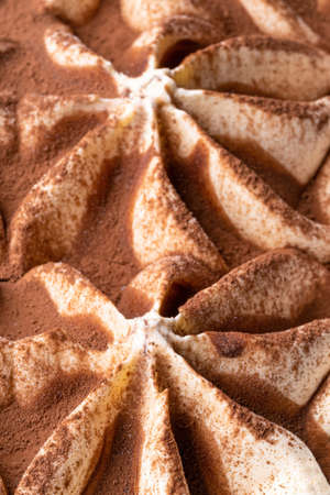 Frozen Tiramisu flavour gelato - full frame detail. Close up of creamy surface texture of Tiramisu Ice cream covered with brown cocoa powder.の写真素材