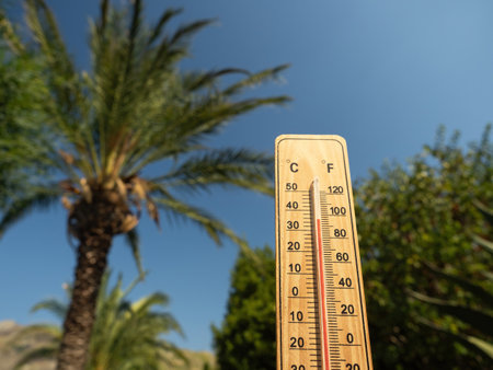 Wooden thermometer with red measuring liquid showing high temperatures on sunny day on background of palm tree. Concept of climatic conditions, warm weather, rain, climate change.の写真素材