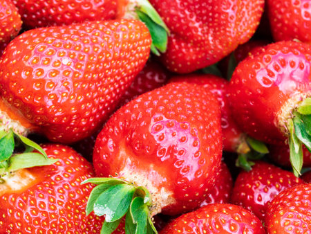 Pile of fresh harvested ripe strawberries (Fragaria Ã— ananassa). Full frame. Harvesting...