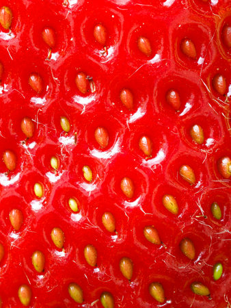 Close-up of red ripe strawberry (Fragaria Ã ananassa) showing seeds. Detailed surface macro shot of texture of fresh fruit. Organic farming, healthy food, back to nature concept.の写真素材